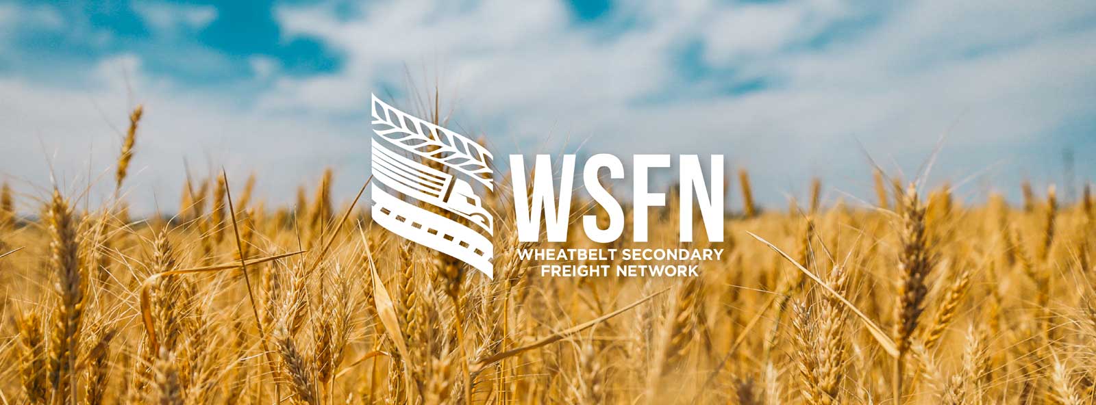 client WSFN-logo-design-project